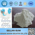 High quality gellan gum price for white sugar